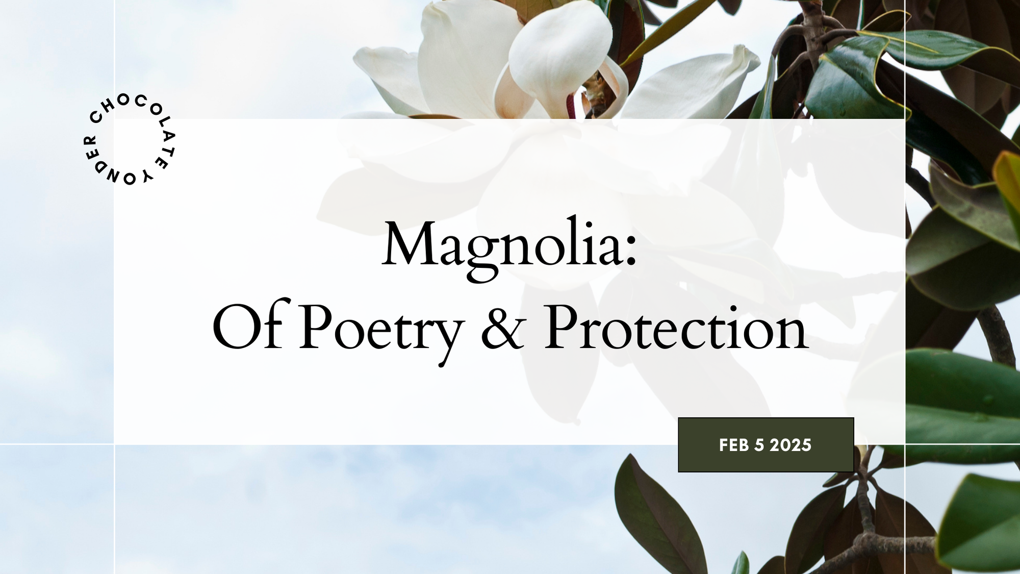 Magnolia: Of Poetry & Protection
