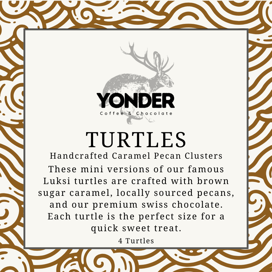 Mini Turtles (not quite a truffle) set