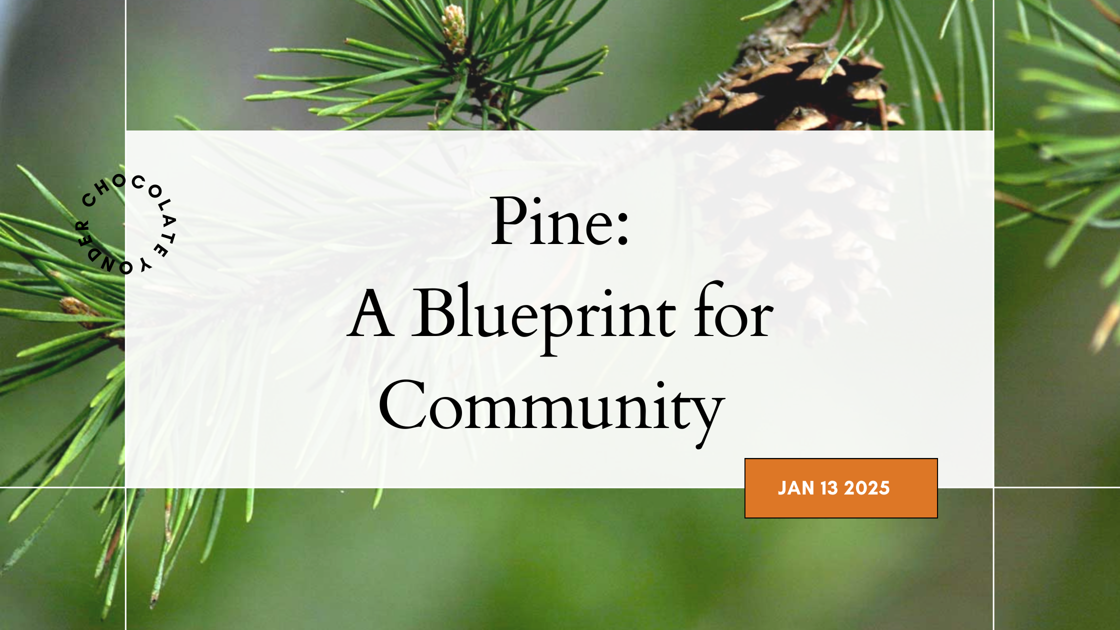 Pine: A Blueprint for Community