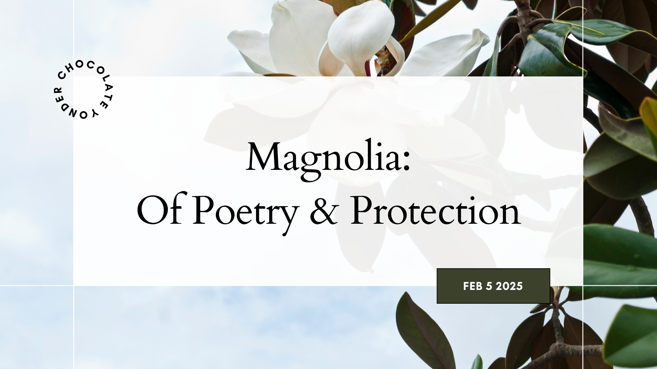 Magnolia: Of Poetry & Protection